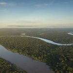Hogyan mentsük meg az Amazonast?